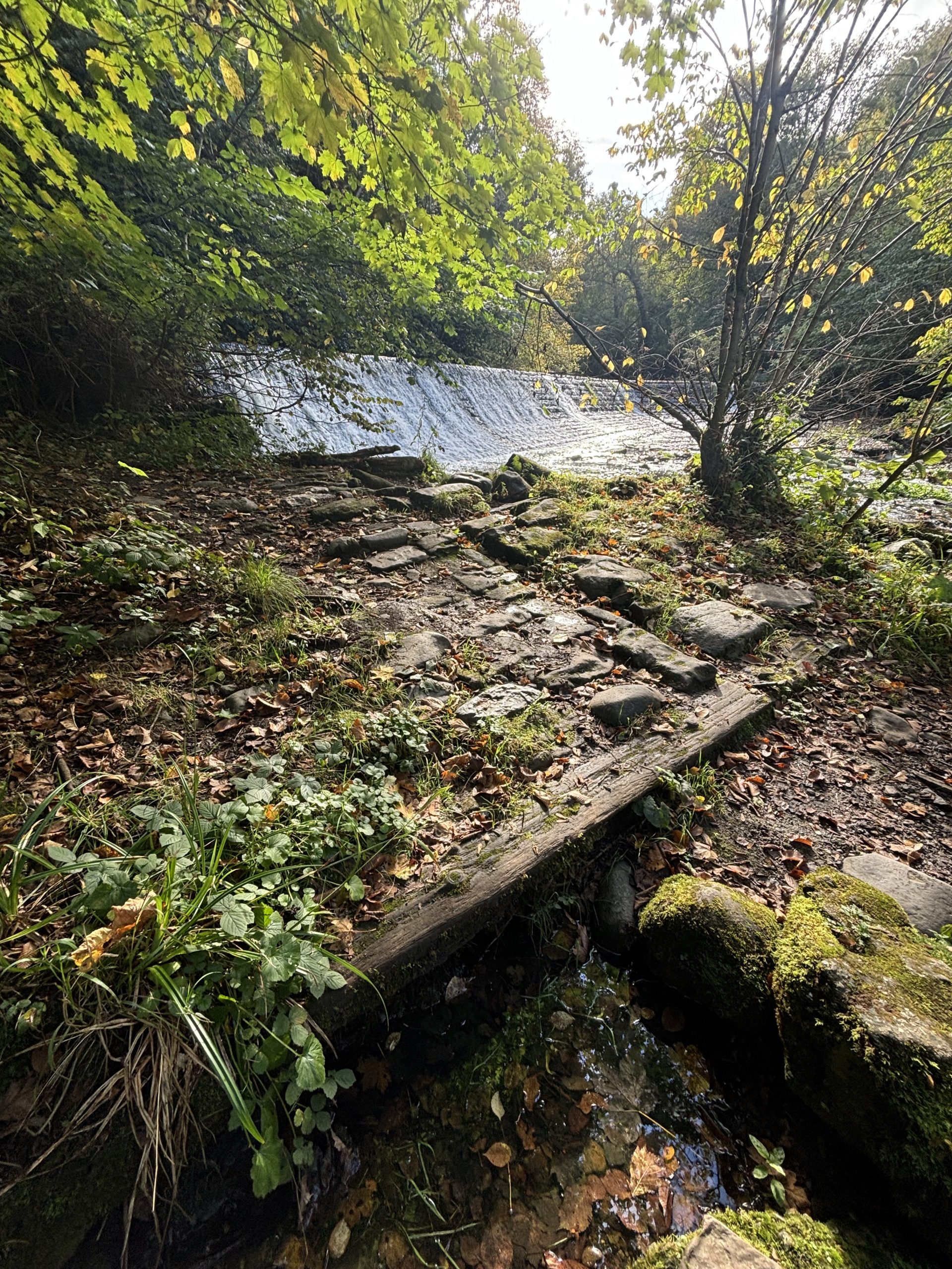 Colinton Dell