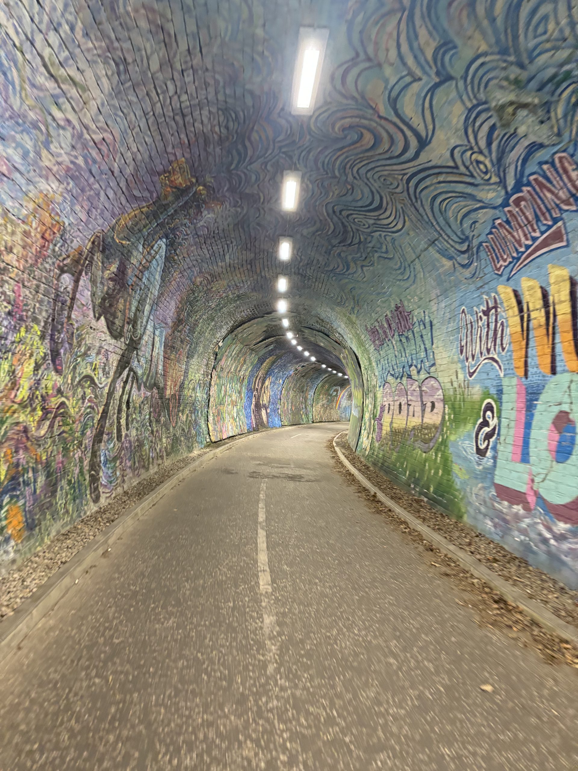 Colinton Tunnel Mural -
