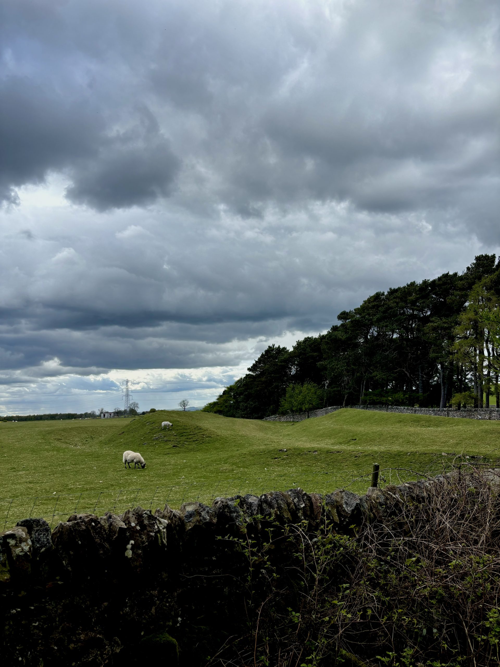 Clubbiedean Fort: An Iron Age fortification on the shore of Clubbiedean reservoir
